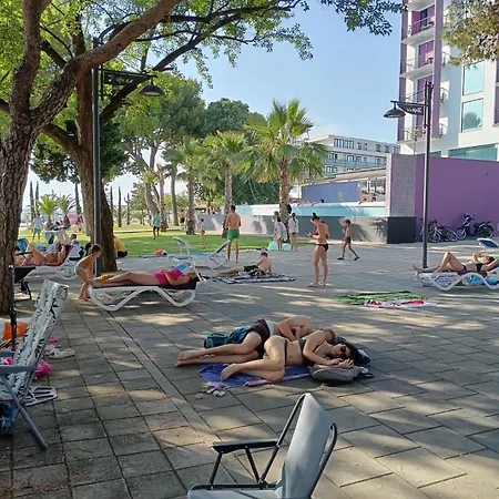 Moreta * 比奥格勒·纳·莫鲁