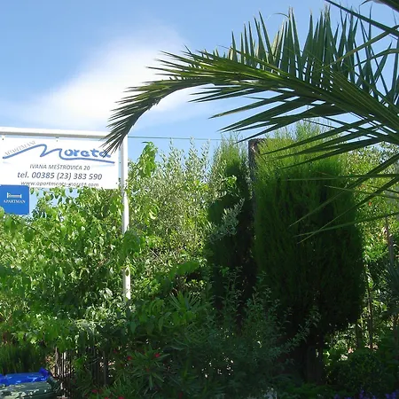 Moreta بيوغْغاد نا موغو